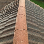 Remove Moss from Roof in Rosehill 5