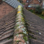Remove Moss from Roof in Lower Bassingthorpe 4
