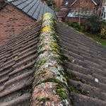 Remove Moss from Roof in Red Hill 11