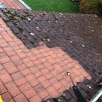 Roof Maintenance in Badby 9