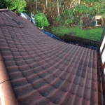 Remove Moss from Roof in Aldwincle 3