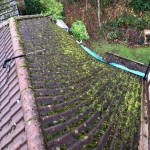 Roof Spray Painting in Bluetown 4