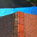 Roof Maintenance 3