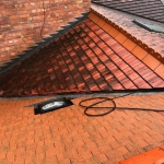 Remove Moss from Roof 5