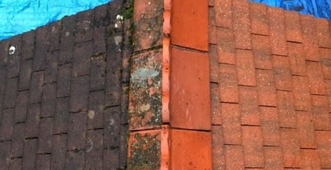 Roof Moss Removal Cost in Moorgreen