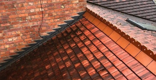 Roof Cleaning Services